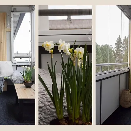 Kodikas Parvekkeellinen Kaksio Omalla Parkkipaikalla Kokkola (Karleby)