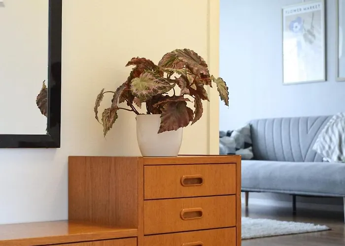 Kodikas Parvekkeellinen Kaksio Omalla Parkkipaikalla *